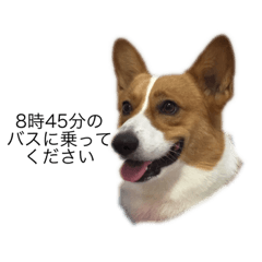 [LINEスタンプ] うーたんと一緒 6