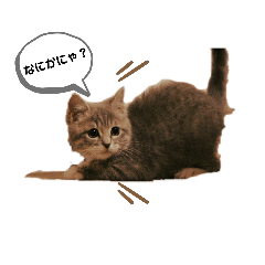 [LINEスタンプ] 杏子のまいにち2
