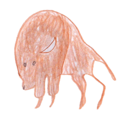 [LINEスタンプ] 動物のフラッシュカード