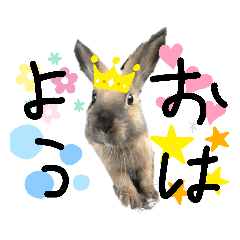 [LINEスタンプ] うさほん