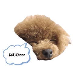 [LINEスタンプ] ティナ。