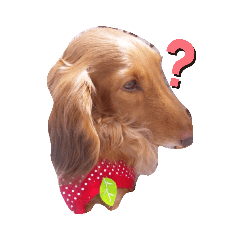 [LINEスタンプ] 淳のスタンプ