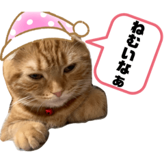 [LINEスタンプ] ちゃちゃ猫