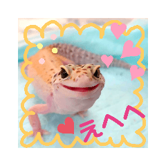 [LINEスタンプ] レオパ時々ねこ