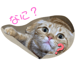 [LINEスタンプ] ちゃちゃ！