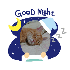 [LINEスタンプ] ニャー！