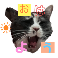 [LINEスタンプ] ぱーちゃんの1日