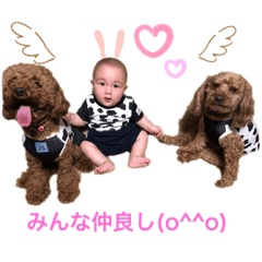 [LINEスタンプ] 小太郎とむぎ