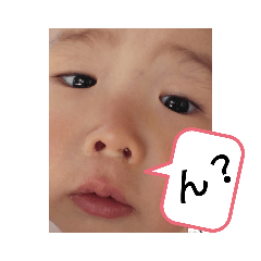 [LINEスタンプ] うちのこころさん。1