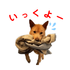 [LINEスタンプ] スクービードゥーのスタンプ