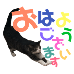 [LINEスタンプ] 猫の気持ち 猫の奈留さん 第2.弾