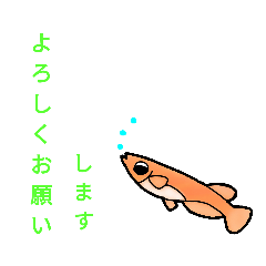 [LINEスタンプ] メダカ好き