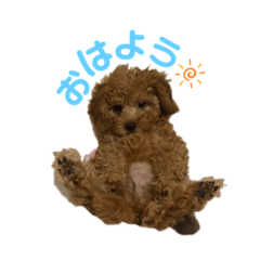 [LINEスタンプ] またんのこむぅぎ