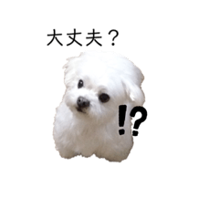 [LINEスタンプ] まるの日常♡