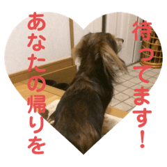 [LINEスタンプ] ★りゅうくんのスタンプ★