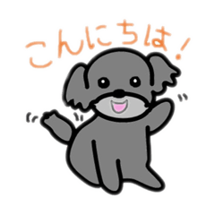 [LINEスタンプ] トイプーぱーるのスタンプ6
