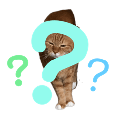 [LINEスタンプ] ねこっちゃまの日常