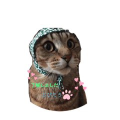 [LINEスタンプ] 第2弾ちびたろ