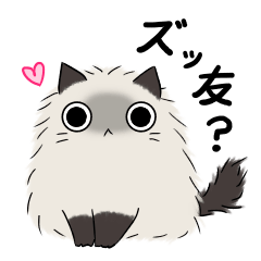 [LINEスタンプ] 見つめるネコちゃん(？)との楽しい日常-2