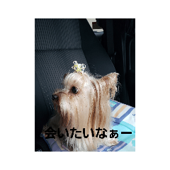 [LINEスタンプ] lovelyまろ♡♡♡ここ