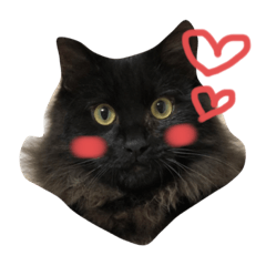 [LINEスタンプ] もひじょーさん♡