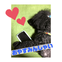 [LINEスタンプ] ろくべい君スタンプ