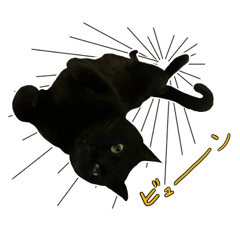 [LINEスタンプ] 黒猫くろえさん