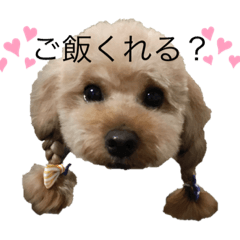 [LINEスタンプ] レイチスタンプ