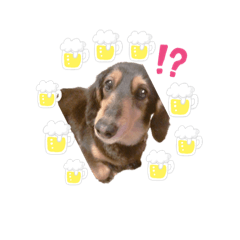 [LINEスタンプ] きっかけは、わんこ