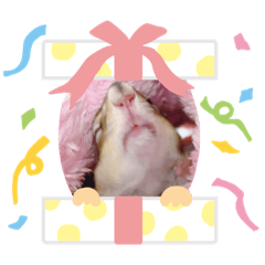 [LINEスタンプ] しまりす2