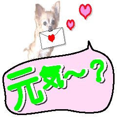 [LINEスタンプ] 毎日使える犬の太文字吹き出しの画像（メイン）