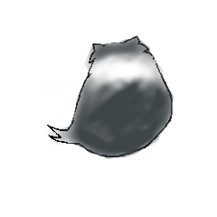 [LINEスタンプ] チワワのたろ