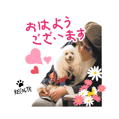 [LINEスタンプ] レコルトちゃん第1弾