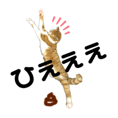 [LINEスタンプ] 茶猫のスタンプ2
