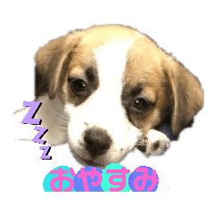 [LINEスタンプ] 愛犬ワン