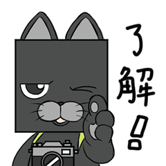 [LINEスタンプ] キュイの毎日スタンプ