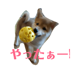 [LINEスタンプ] 豆柴テツくん 2