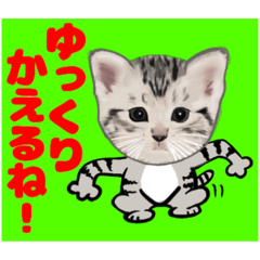 [LINEスタンプ] 顔だけリアル、よん