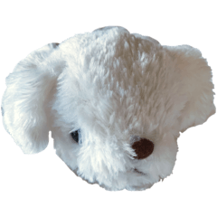[LINEスタンプ] 犬のしらこちゃん