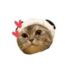 [LINEスタンプ] J asmin