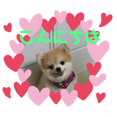 [LINEスタンプ] ポメライムくんの日常その2