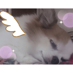 [LINEスタンプ] チョコくんのシュールスタンプ