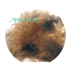 [LINEスタンプ] mocoの1日