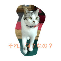 [LINEスタンプ] みいこスタンプ2♡