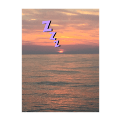 [LINEスタンプ] ミート_001