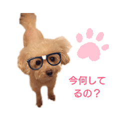 [LINEスタンプ] キュートすぎ！ベリーちゃんスタンプ