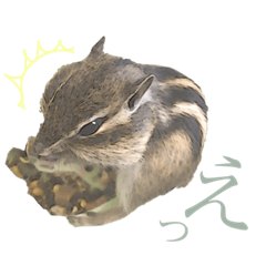 [LINEスタンプ] むぎぐらし ひとこと