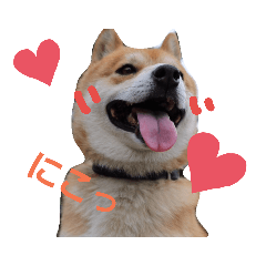 [LINEスタンプ] 柴犬レオン