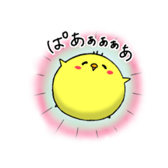 [LINEスタンプ] ぴよりっちの日常