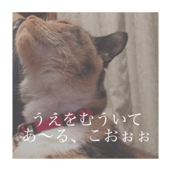 [LINEスタンプ] はなぽたそ